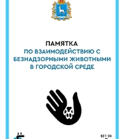 Памятка по обращению населения с животными без владельцев