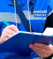 ФЕДЕРАЛЬНОЕ СТАТИСТИЧЕСКОЕ НАБЛЮДЕНИЕ «ВЫБОРОЧНОЕ ОБСЛЕДОВАНИЕ РАБОЧЕЙ СИЛЫ»
