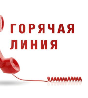 Специалисты Управления Роспотребнадзора по Самарской области совместно с ФБУЗ «Центр гигиены и эпидемиологии в Самарской области» проводят «горячую линию», посвящённую профилактики клещевого вирусного энцефалита.