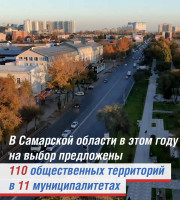 Миллионы россиян выразили свое мнение