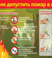 На территории Самарской области введён особый противопожарный режим