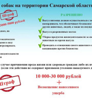 Основные правила выгула собак в Самарской области.