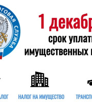 Внимание! Срок уплаты налогов 1 декабря!