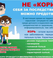 Профилактика кори!