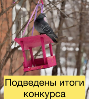 Наш конкурс «Пернатые в Красноглинском» официально завершен.