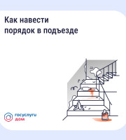 Как навести порядок в подъезде