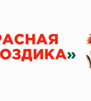 С 10 апреля по 22 июня по всей стране пройдет ежегодная акция «Красная гвоздика»