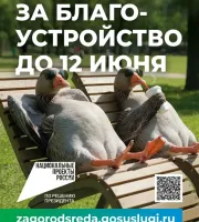 Продолжается онлайн-голосование по программе «Формирование комфортной городской среды» нацпроекта «Инфраструктура для жизни». Именно жители решают, какая территория будет благоустроена в 2027 году.