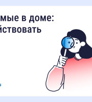 Борьба с насекомыми в многоквартирном доме