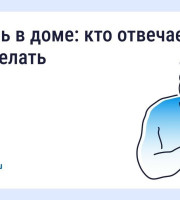 Что делать, если в квартире появилась плесень