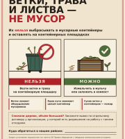 ВЕТКИ, ТРАВА И ЛИСТВА — ЭТО НЕ БЫТОВОЙ МУСОР: Что изменилось и что теперь делать