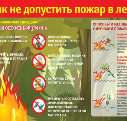 На территории Самарской области введён особый противопожарный режим