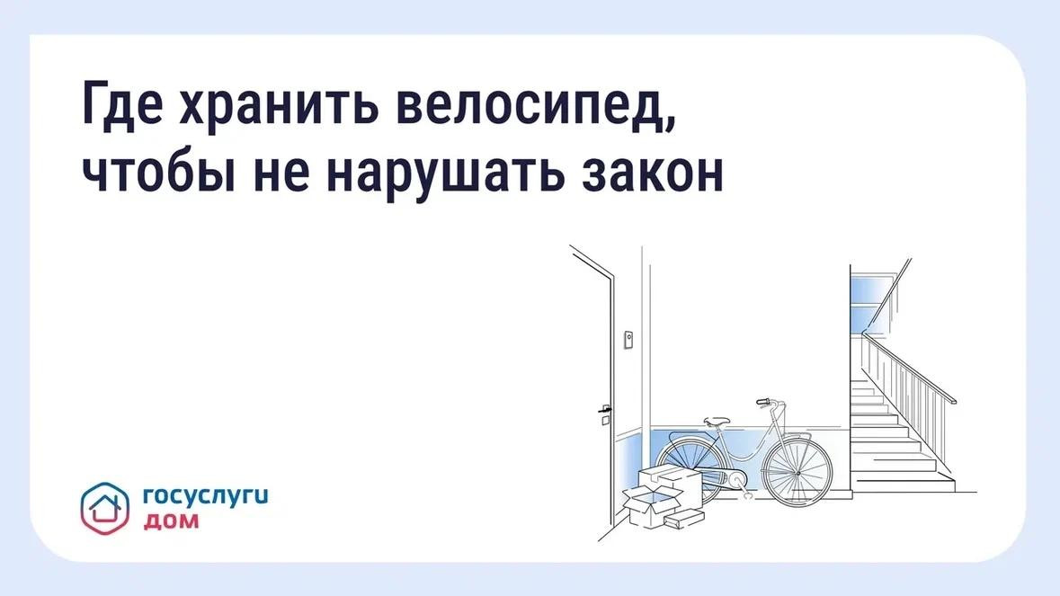 Хранение велосипедов в МКД: что говорит закон  #1