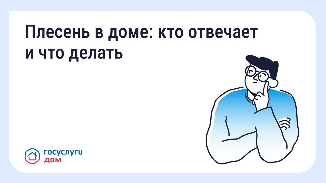 Что делать, если в квартире появилась плесень #1