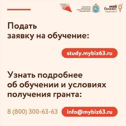 «Молодые предприниматели Самарской области могут получить 500 тысяч рублей на развитие своего дела» #9