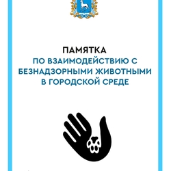 Памятка по обращению населения с животными без владельцев #1