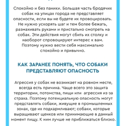 Памятка по обращению населения с животными без владельцев #2