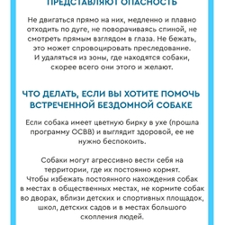 Памятка по обращению населения с животными без владельцев #3
