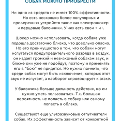 Памятка по обращению населения с животными без владельцев #5