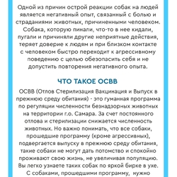 Памятка по обращению населения с животными без владельцев #7