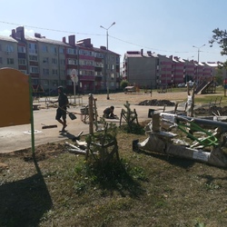 Реализация проекта "Твой конструктор двора" в поселке Красная Глинка и ЖК "Шведская слобода" #6