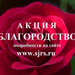 XXVI областная общественная Акция «Благородство» #1