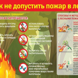 На территории Самарской области введён особый противопожарный режим #1