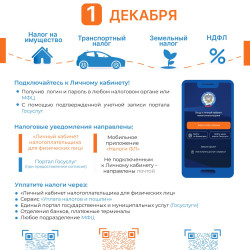 Внимание! Срок уплаты налогов 1 декабря! #1