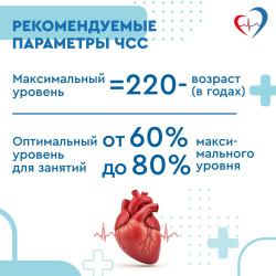 Физическая активность – основа ответственного отношения к своему здоровью #6