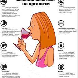 Влияние алкоголя на организм женщины  #1