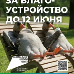 Друзья! Время выбирать будущее! Программа «Формирование комфортной городской среды» нацпроекта «Инфраструктура для жизни» набирает обороты #1