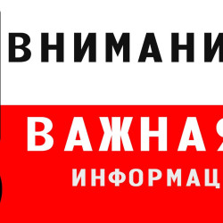 На территории Самарской области установлено ограничение пребывания граждан в лесах #1