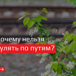 Железнодорожные переезды – объекты повышенной опасности, требующие строгого выполнения Правил дорожного движения РФ #2