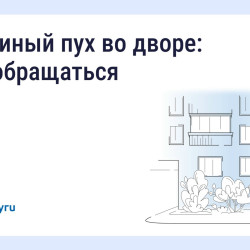 Что делать, если двор заполонил тополиный пух #1