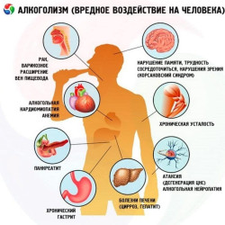 Вред алкоголя: последствия для здоровья и жизни #1