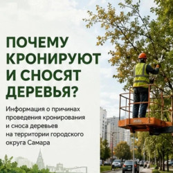 О кронировании и сносе деревьев в Самаре #1