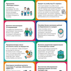 Финансовый детектор. Господдержка или миф #2