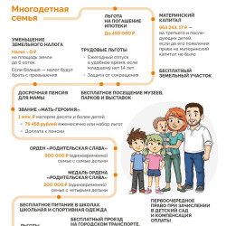 Карта федеральных льгот и выплат семье #4