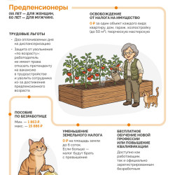 Карта федеральных льгот и выплат семье #5